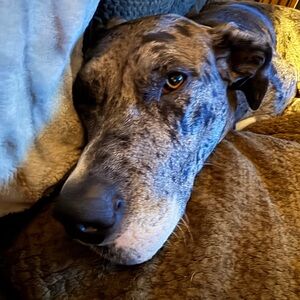 Meet your Posher, Heather